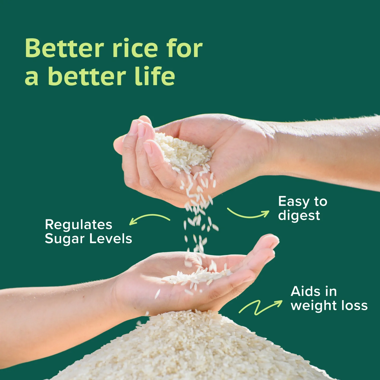 GudSwap by BeatO Rice (1kg) | Low GI 51 | Diabetes-Friendly | Easy to Digest | High Fibre | Non-GMO | No Pesticides - Image 4